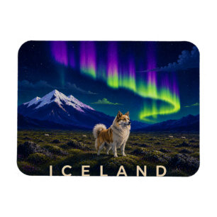 Isländischer Schäferhund unter der Aurora Island F Magnet