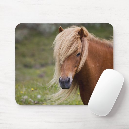 Isländisches Fohlen Mousepad (Mit Mouse)