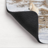 Isländisches Pferd | Blonduos, Island Mousepad (Ecke)