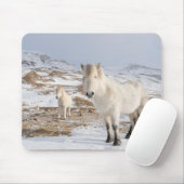 Isländisches Pferd | Blonduos, Island Mousepad (Mit Mouse)