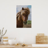 Isländisches Pferd III Poster (Küche)