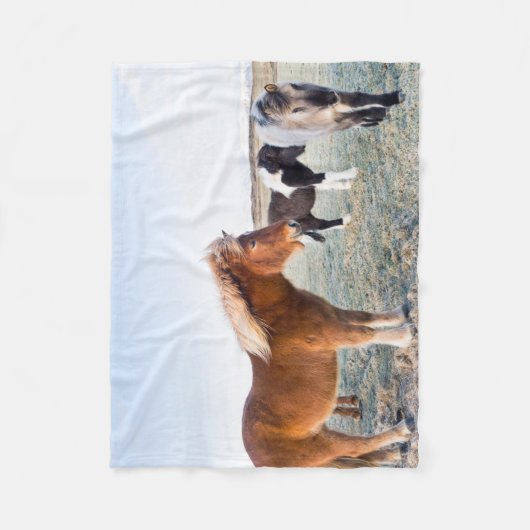 Isländisches Pferd im Winter auf Island Fleecedecke (Vorderseite)