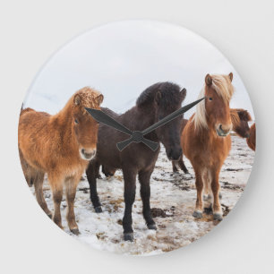 Isländisches Pferd im Winter auf Island Große Wanduhr
