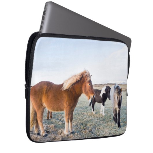 Isländisches Pferd im Winter auf Island Laptopschutzhülle (Vorne Rechts)