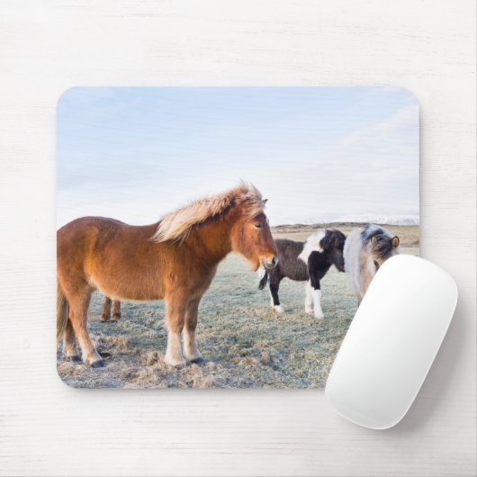 Isländisches Pferd im Winter auf Island Mousepad (Mit Mouse)