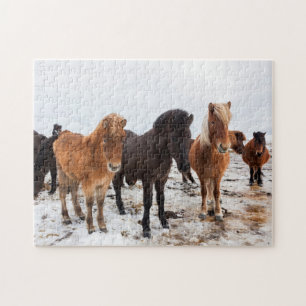 Isländisches Pferd im Winter auf Island Puzzle