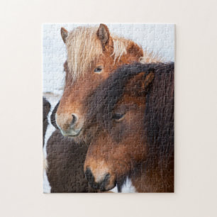 Isländisches Pferd im Winter auf Island Puzzle