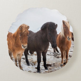 Isländisches Pferd im Winter auf Island Rundes Kissen