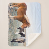 Isländisches Pferd im Winter auf Island Sherpadecke (Vorderseite)