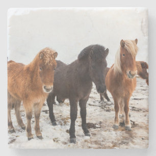 Isländisches Pferd im Winter auf Island Steinuntersetzer