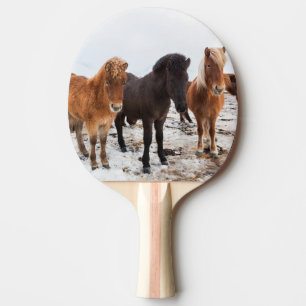 Isländisches Pferd im Winter auf Island Tischtennis Schläger