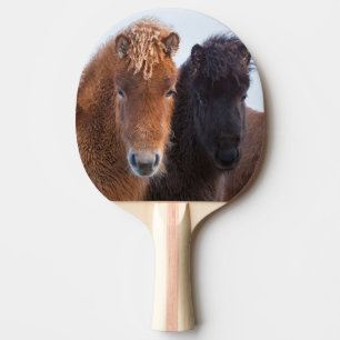 Isländisches Pferd im Winter auf Island Tischtennis Schläger