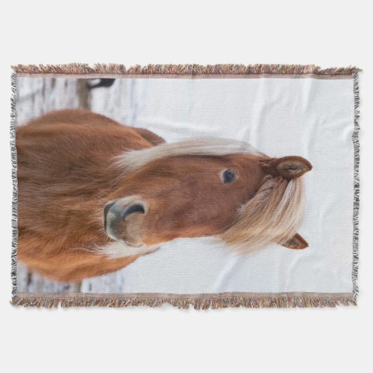 Isländisches Pferd im Winter Decke (Vorderseite)