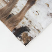 Isländisches Pferd im Winter Island Fleecedecke (Ecke)