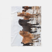 Isländisches Pferd im Winter Island Fleecedecke (Vorderseite)