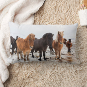 Isländisches Pferd im Winter Island Lendenkissen