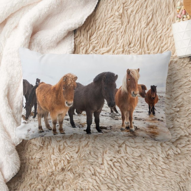 Isländisches Pferd im Winter Island Lendenkissen (Decke)