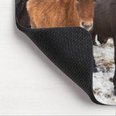Isländisches Pferd im Winter Island Mousepad (Ecke)