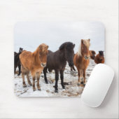 Isländisches Pferd im Winter Island Mousepad (Mit Mouse)