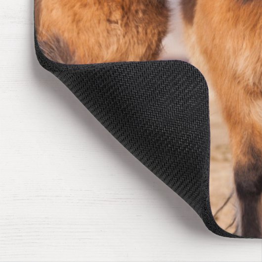 Isländisches Pferd im Winter Mousepad (Ecke)