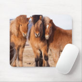 Isländisches Pferd im Winter Mousepad (Mit Mouse)