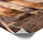 Isländisches Pferd im Winter Poster (Ecke)