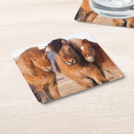 Isländisches Pferd im Winter Rechteckiger Pappuntersetzer (angewinkelt)