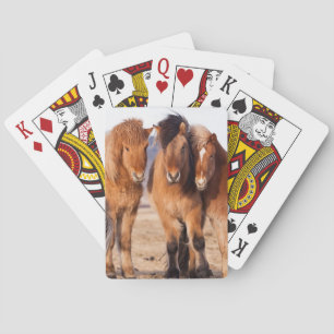 Isländisches Pferd im Winter Spielkarten