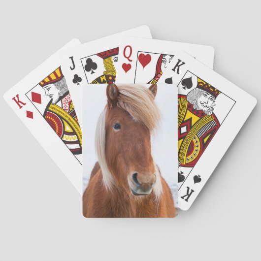 Isländisches Pferd im Winter Spielkarten (Rückseite)