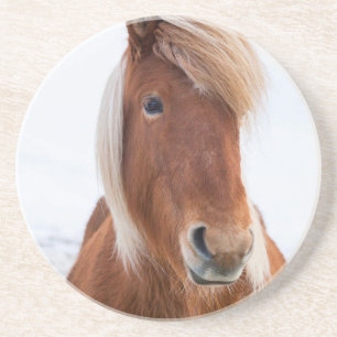 Isländisches Pferd im Winter Untersetzer