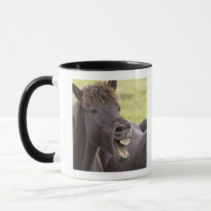 Isländisches Pferd mit lustigem Ausdruck Tasse