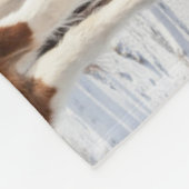 Isländisches Pferd mit typischer Wintermütze Fleecedecke (Ecke)