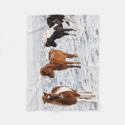 Isländisches Pferd mit typischer Wintermütze Fleecedecke (Vorderseite)