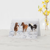 Isländisches Pferd mit typischer Wintermütze Karte (Gelbe Blume)