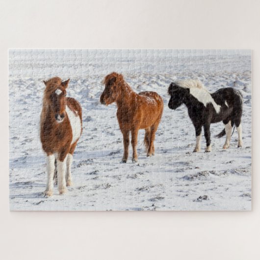 Isländisches Pferd mit typischer Wintermütze Puzzle (Horizontal)