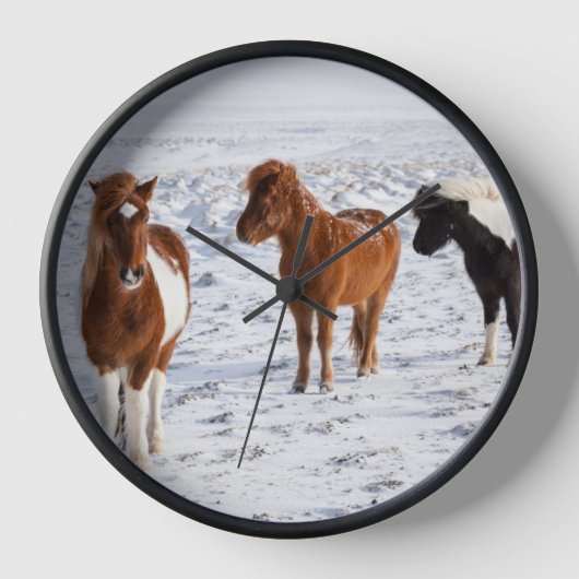 Isländisches Pferd mit typischer Wintermütze Uhr (Vorderseite)