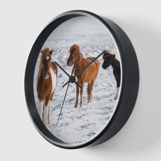 Isländisches Pferd mit typischer Wintermütze Uhr (Winkel)