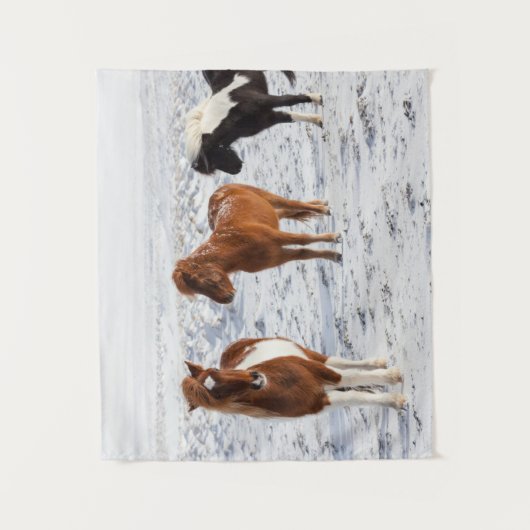 Isländisches Pferd mit typischer Wintermütze Wandteppich (Vorderseite)