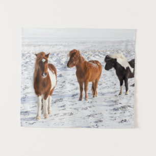 Isländisches Pferd mit typischer Wintermütze Wandteppich