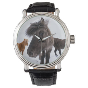 Isländisches Pferd-Potrait, Island Armbanduhr