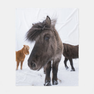 Isländisches Pferd-Potrait, Island Fleecedecke