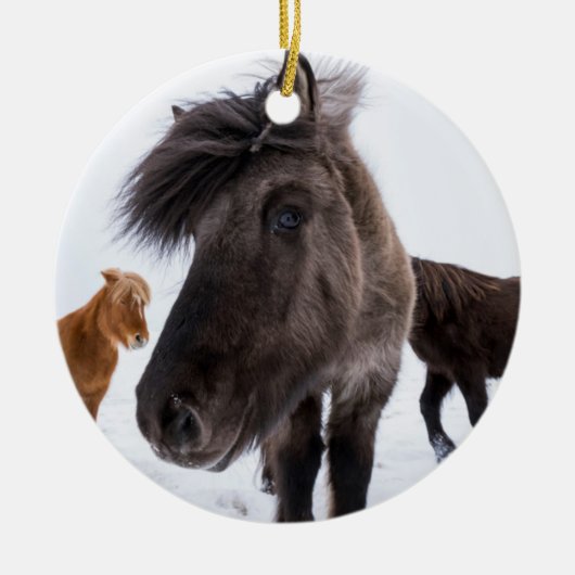 Isländisches Pferd-Potrait, Island Keramikornament (Vorne)