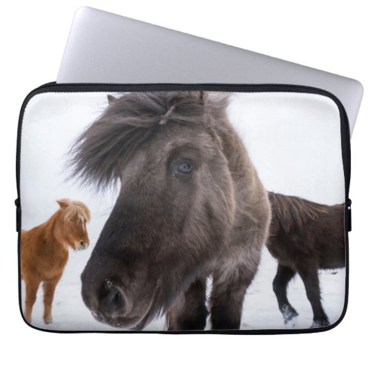 Isländisches Pferd-Potrait, Island Laptopschutzhülle (Vorderseite)