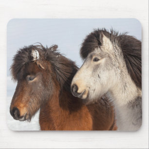 Isländisches Pferd-Profil, Island Mousepad
