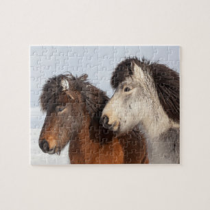 Isländisches Pferd-Profil, Island Puzzle