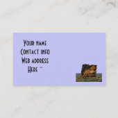 Isländisches Pferd-Set in Stone Visitenkarte (Rückseite)