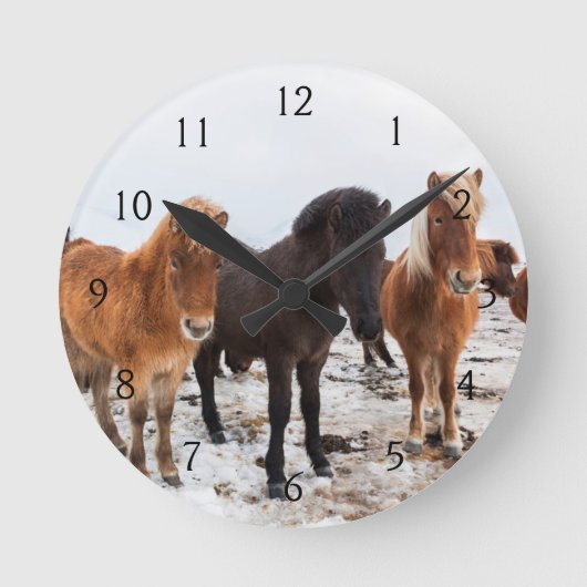 Isländisches Pferd während des Winters auf Island Runde Wanduhr (Vorderseite)