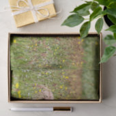 Isländisches Pferdefohlen-Seidenpapier Seidenpapier (Geschenk)