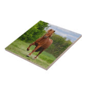 Isländisches Pony Tölt an den lustigen Fliese (Seite)