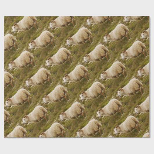 Isländisches Schaf-Packpapier Geschenkpapier (Flach)